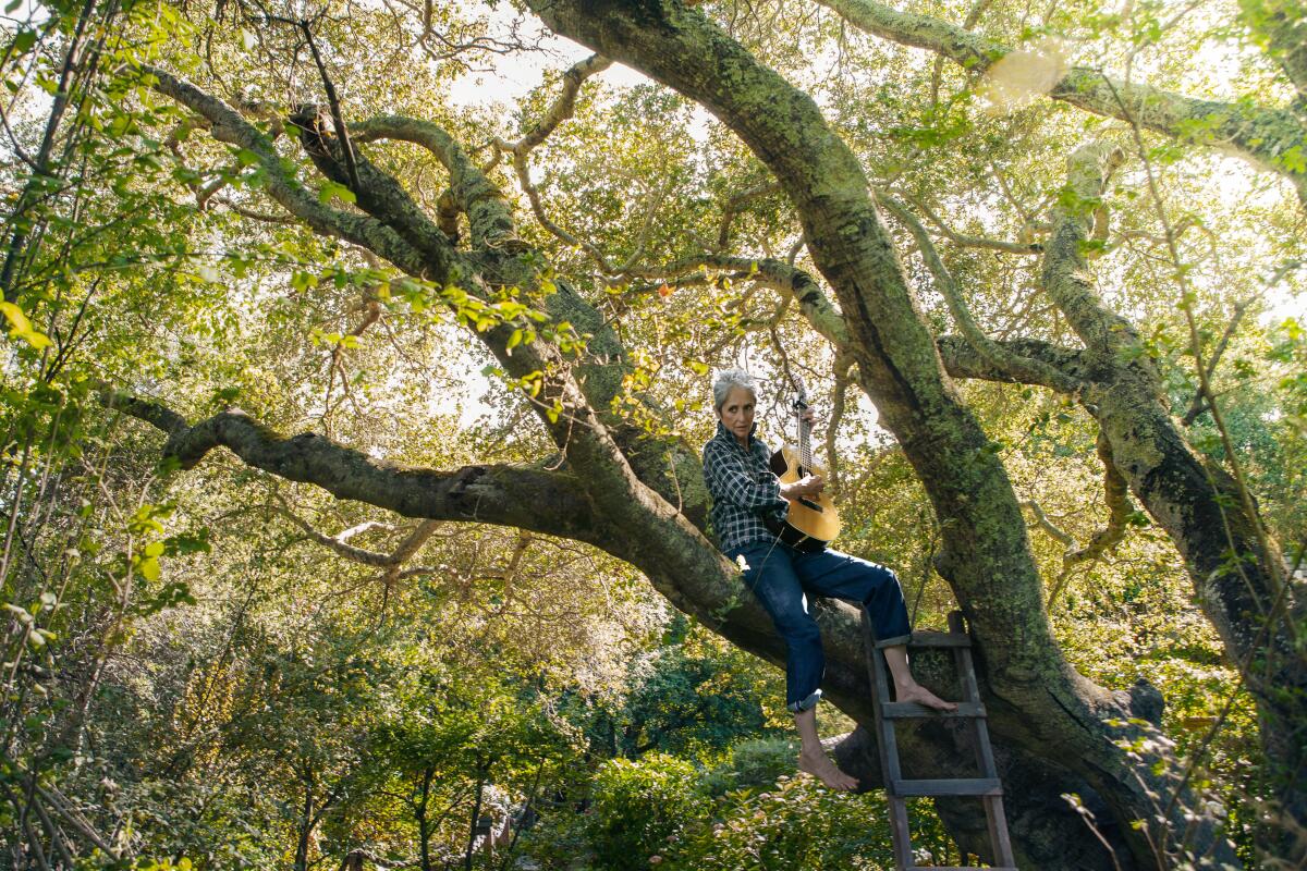 A barefoot Joan Baez sits in a tree strumming her guitar.