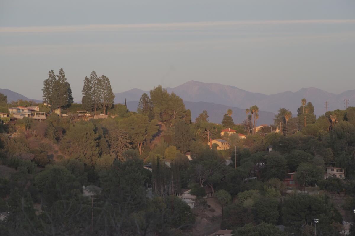 Mt. Baldy is visible in the distance from a hiking trail in Elephant Hill Open Space in El Sereno.