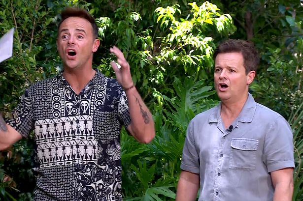 Ant and Dec on I'm A Celeb