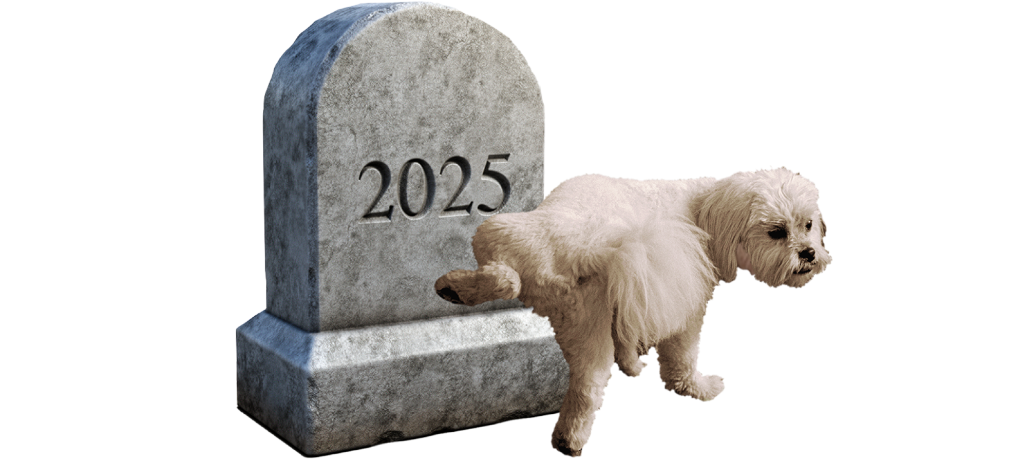 photo illustration of a white dog peeing on a gravestone reading "2025"