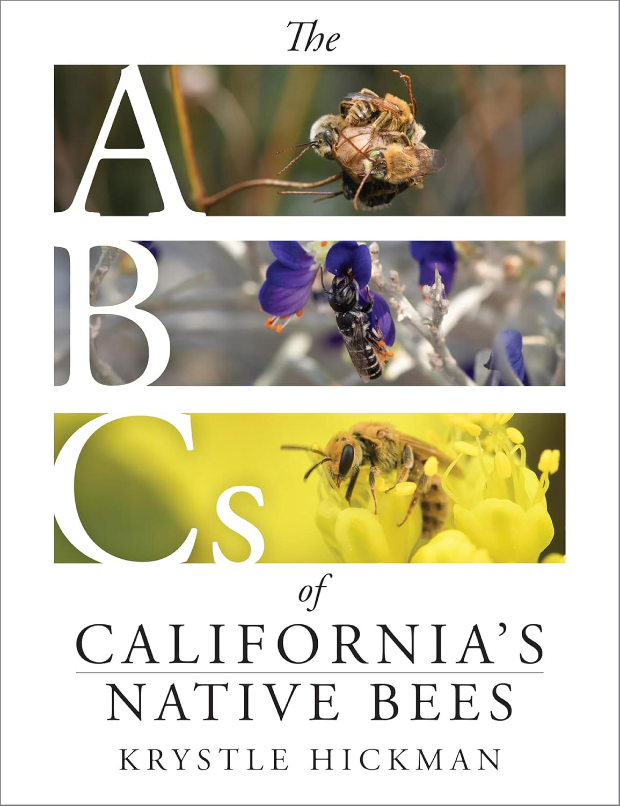 "The ABCs of California's Native Bees" by Krystle Hickman