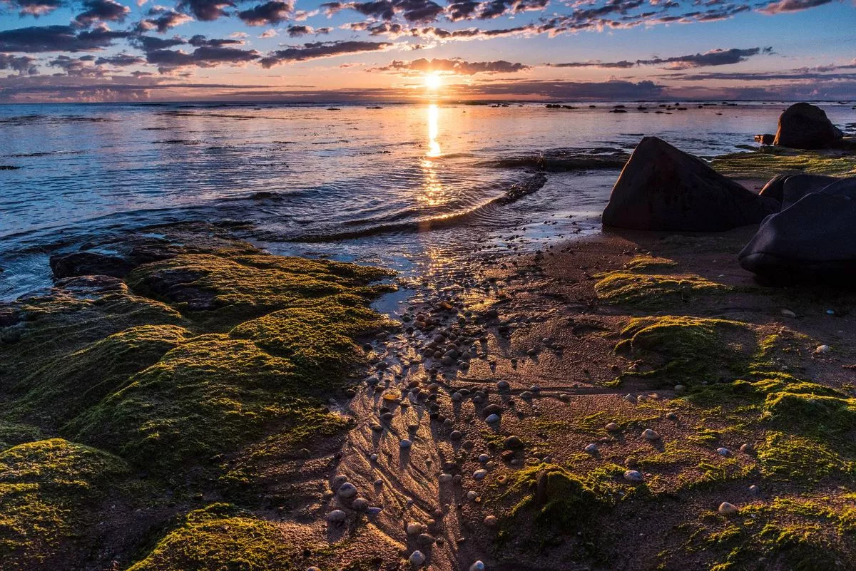 Early summer sunrise at Boulmer, Northumberland.