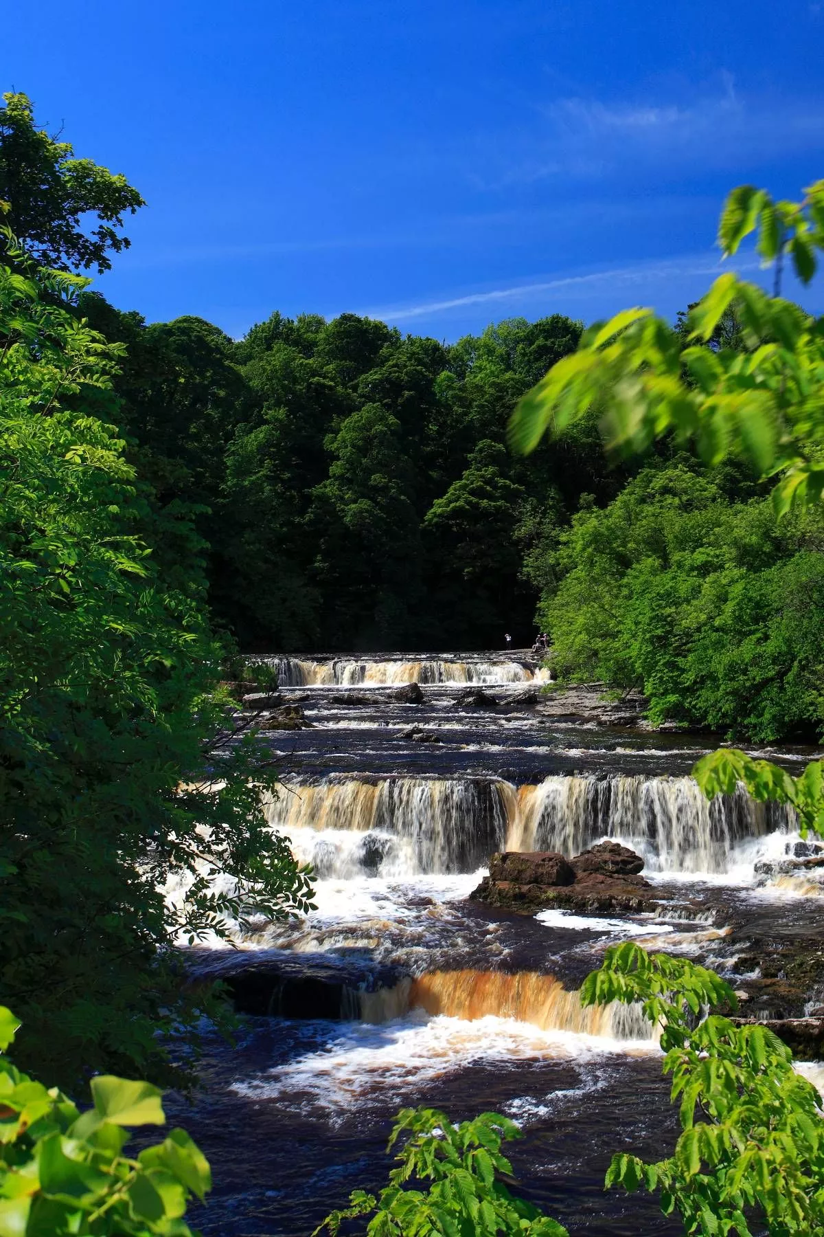A serene natural landscape featuring a cascading waterfall amidst a lush, green forested area. The water flows vigorously over rocks, creating a mix of clear and brownish hues. The environment is vibrant with various shades of green from the foliage.