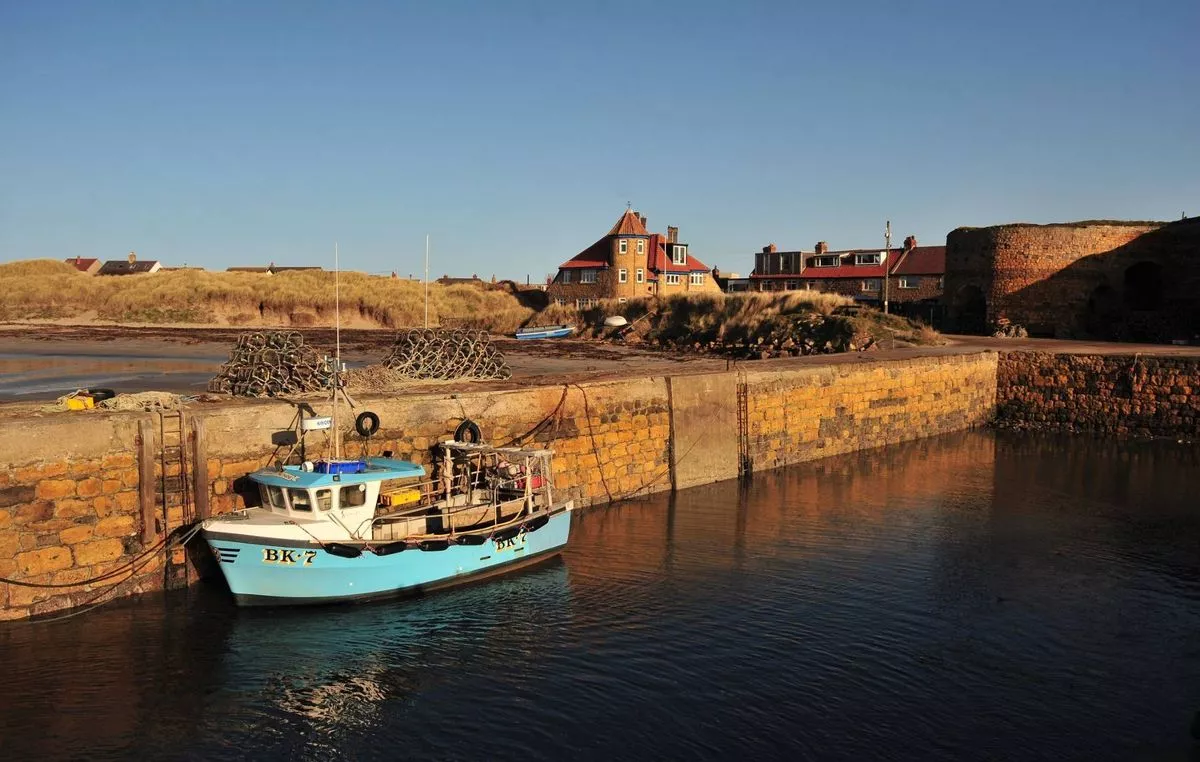 A blue and white fishing boat tied up alongside a brick wall in a harbour on a quiet sunny day.