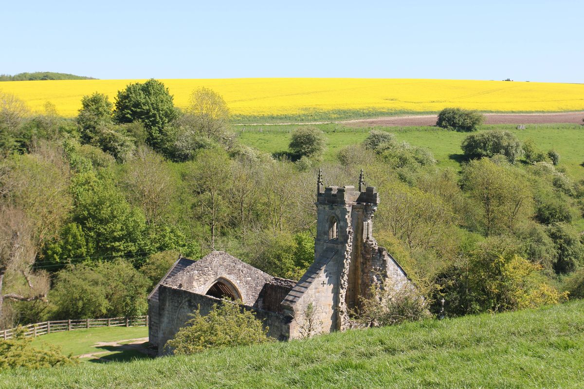 Wharram Percy deserted medieval village East Riding of Yorkshire
