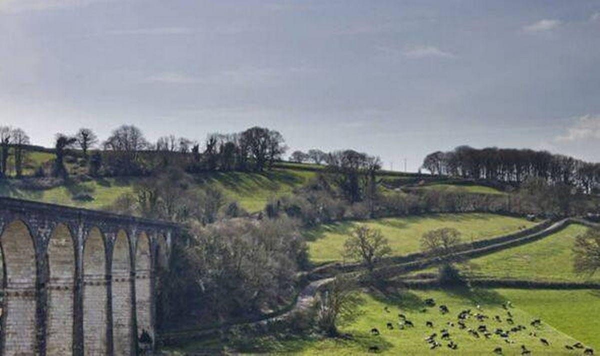 Calstock viaduct and lush greenery. 