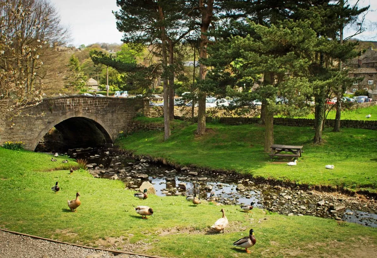 An image depicting a serene landscape featuring a stone bridge spanning a tranquil stream. The stream flows through a lush, green park adorned with tall trees and abundant vegetation. Several waterfowl are scattered along the grassy banks, some near the water's edge. The scene conveys a peaceful and picturesque environment.