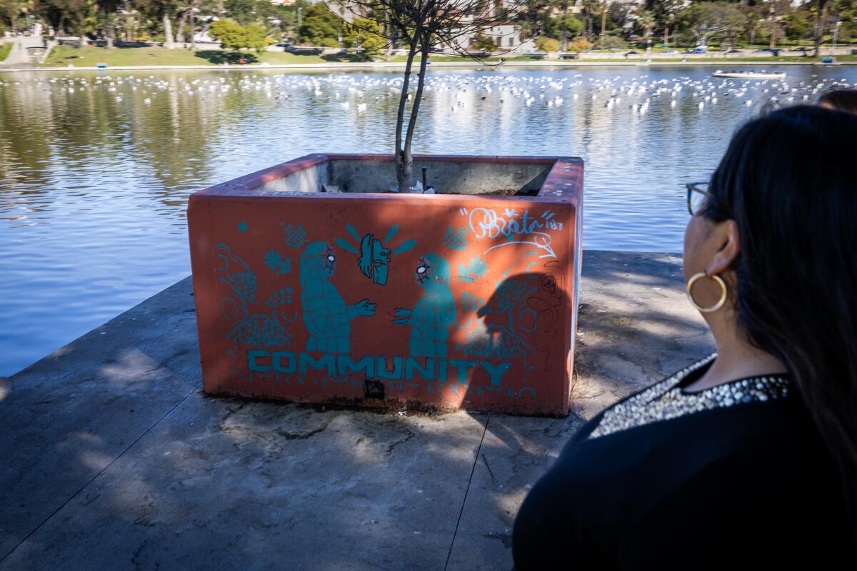 A person looks at a rectangular structure next to a lake.