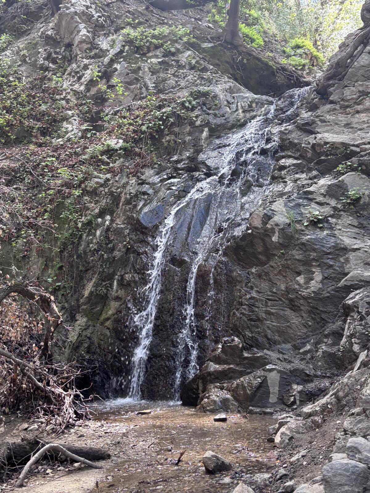Water cascades down dark rocks and roots jutting out of a hillside.