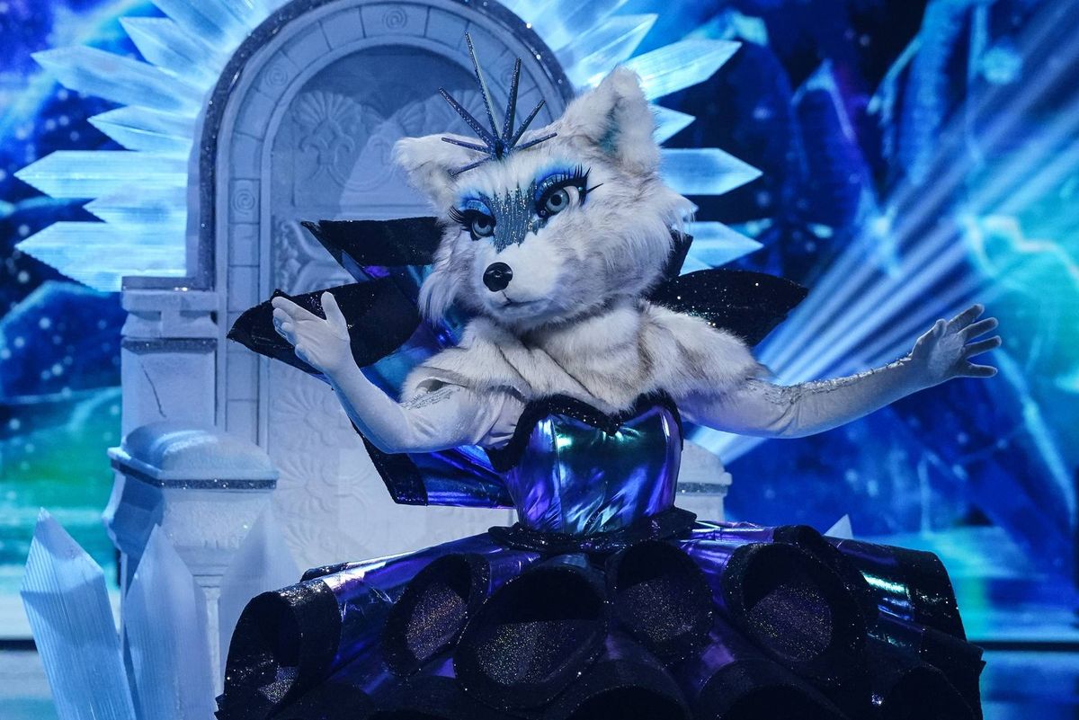 Arctic Fox on The Masked SInger