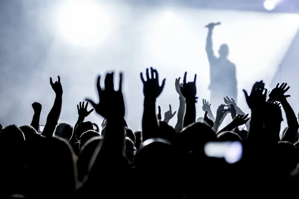 Silhouettes of a crowd with hands raised and a singer performing on a brightly lit stage.