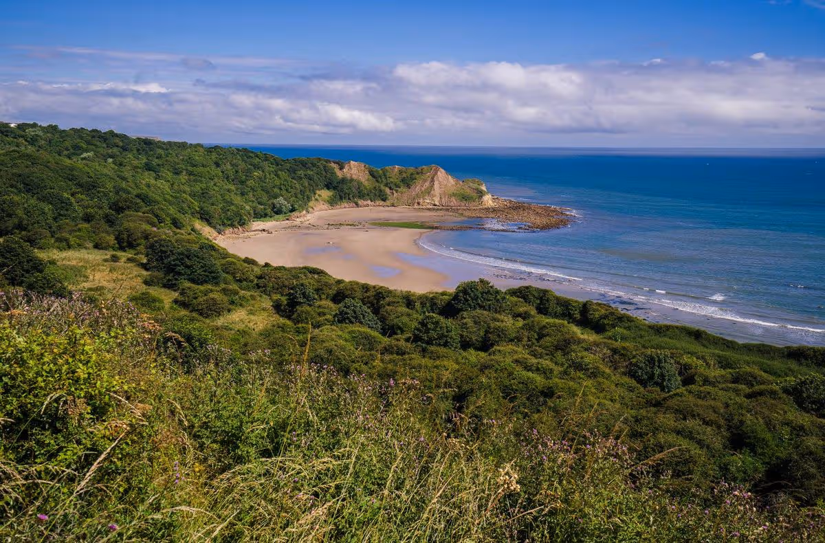 Clifftop view from the Cleveland Way footpath which passes along the top of the cliffs which form the backdrop to Cayton Bay in North Yorkshire.