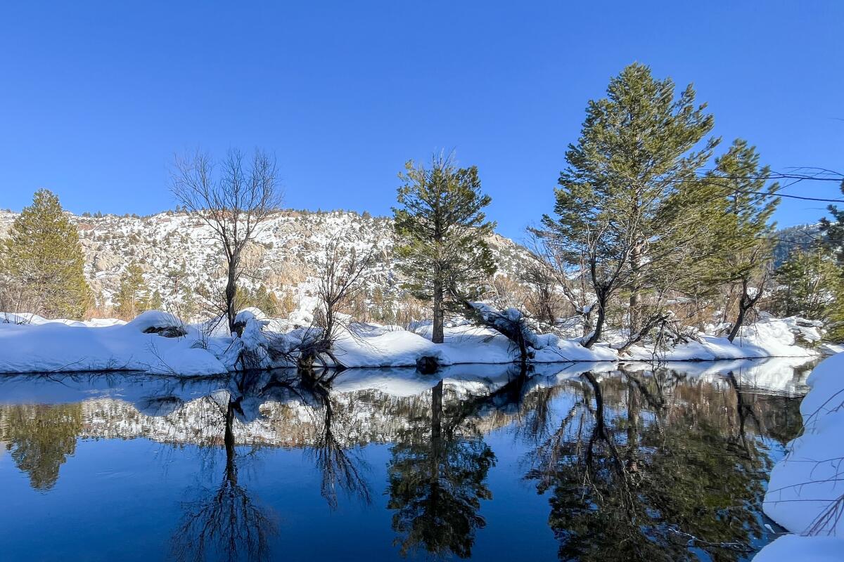 A lake reflecting trees and surrounded by snow.