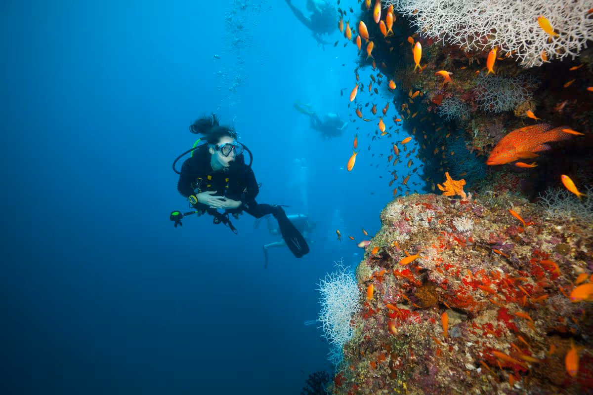 woman diving at JA Manafaru