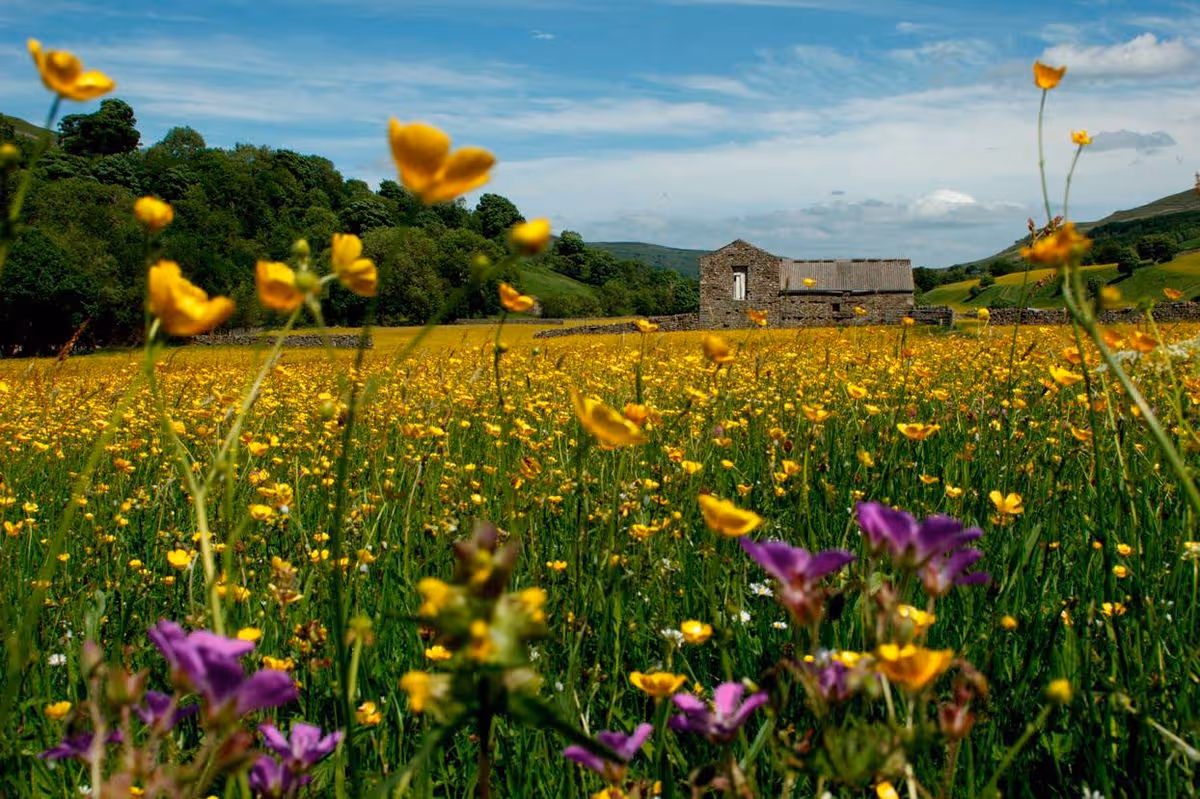 Yorkshire Dales National Park