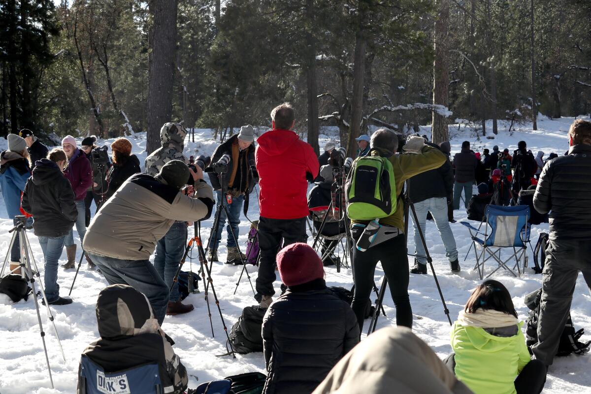 A crowd of photographers sets up gear in the snow.